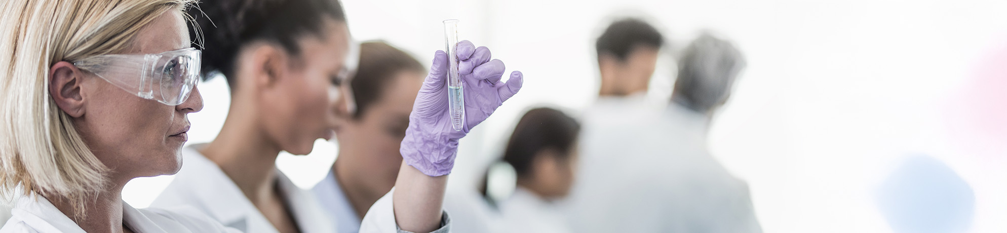 An investigator examines a test tube